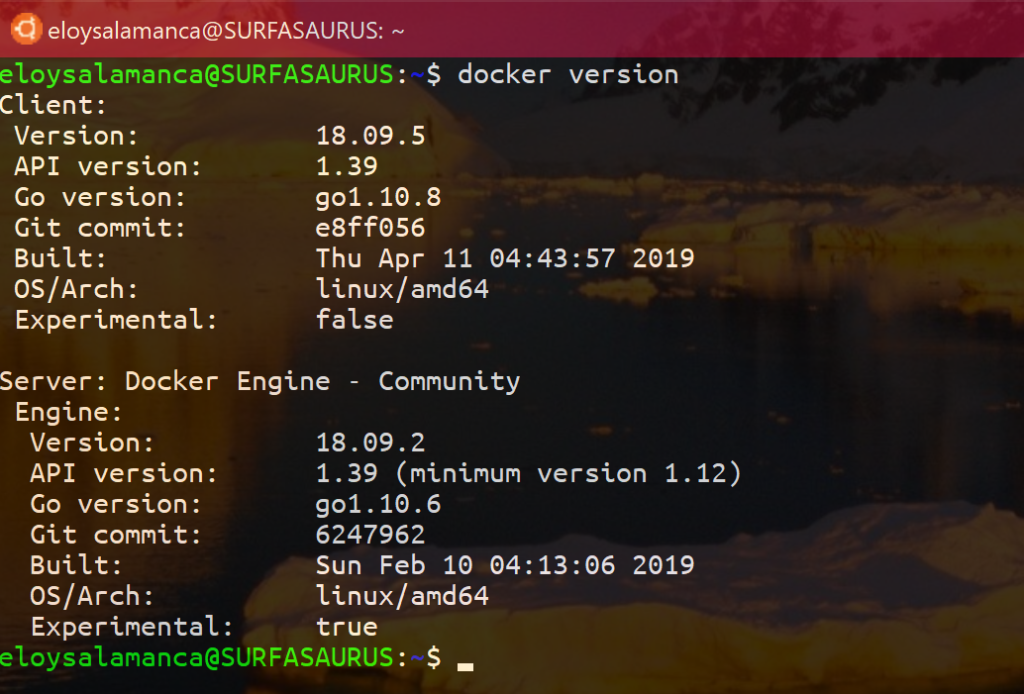 Preparing to use Docker and Docker Compose from Windows 10 WSL
