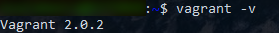 Checking for Vagrant version